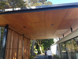 Meranti Ply